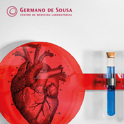 germano de sousa press kit - brochura gs