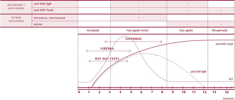 GermanodeSousa-Hepatite-A-Perfil-Diagnostico-Infeccao-tipica