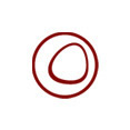 Drª. Ana Cristina Lopes Drª. Ana Cristina Lopes