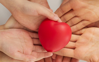 Grupo Germano de Sousa inclui Açores no rastreio gratuito de colesterol e glicémia - diariodosacores.pt