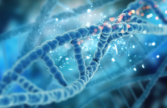 Cardiomiopatia hipertrófica: a análise genética e o risco de morte súbita - Sapo Life Style