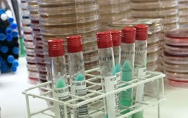 Os marcadores tumorais como indicadores de malignidade