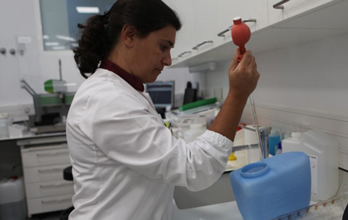 A caracterização Laboratorial e Diagnóstico Molecular da Sífilis