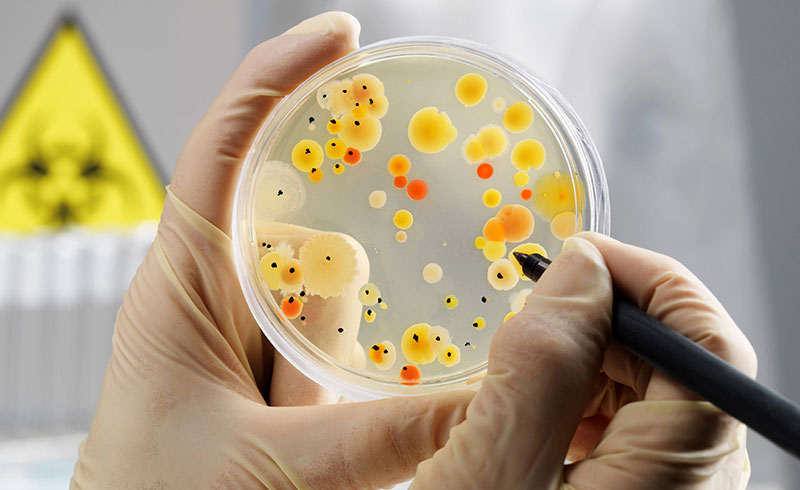 Microbiologia Clínica