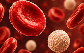 Sintomas da Anemia: Como Identificar os Sinais