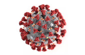 SARS-CoV-2? As explicações de um médico - Sapo Lifestyle Medicina e Saúde