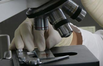 COVID-19: Investigadores realizam estudo sobre prevalência da infeção - Alert-online