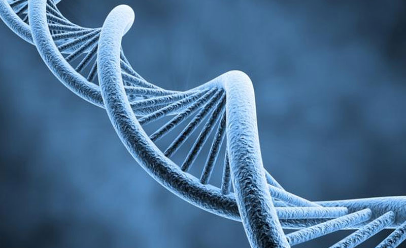 Marcadores genéticos de doenças hereditárias