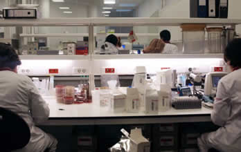 o teste Ophi-Breast6 na determinação do risco do Carcinoma da Mama e do Ovário