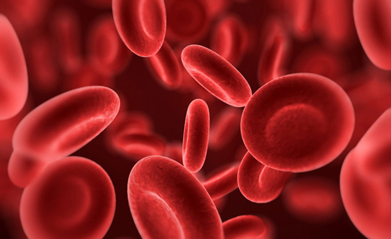 Hematologia / Hemato-oncologia