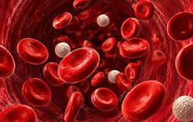 Tipos de Anemia: Conheça as Diferenças e Causas