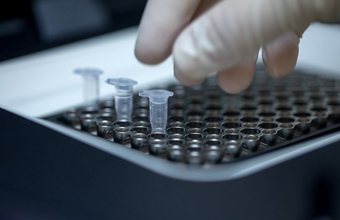 Jornal de negócios - Grupo Germano de Sousa investe 1,5 milhões em laboratório no Porto