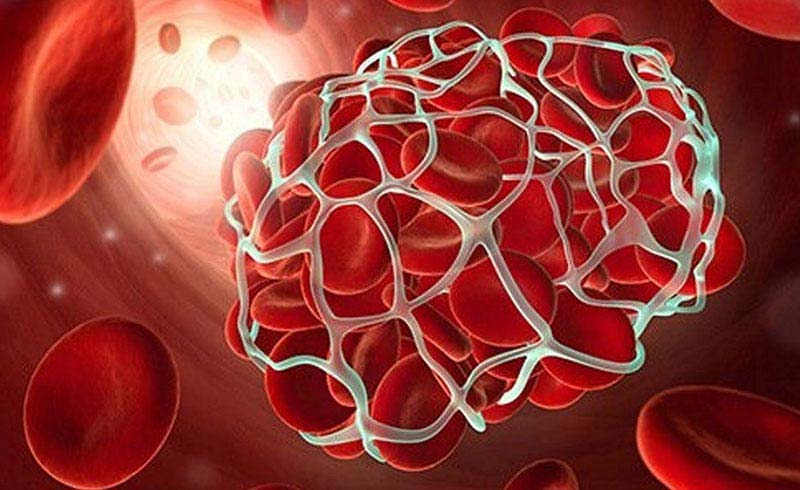 Estudos das Dislipidémias
