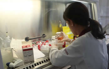 Exames Laboratoriais no despiste do Neuroblastoma
