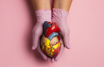 Doenças cardiovasculares: o que é a cardiomiopatia hipertrófica? - Sapo LifeStyle