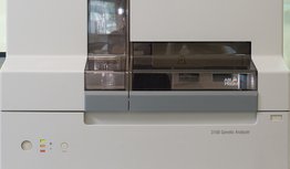 Germano de Sousa - Laboratório de Genética