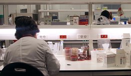 Germano de Sousa - Laboratório de Microbiologia, Micobacteriologia e Parasitologia Clínica