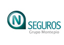N Seguros